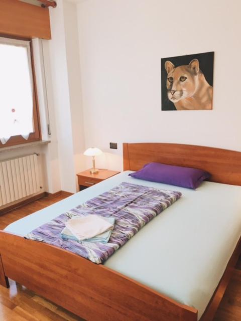 Bed&Breakfast Zattieri Ponte nellʼAlpi Exterior foto